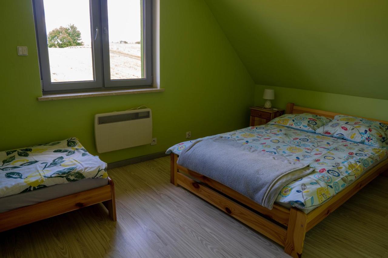 Zielony Domek Lubieszewo Lubieszewo  Esterno foto